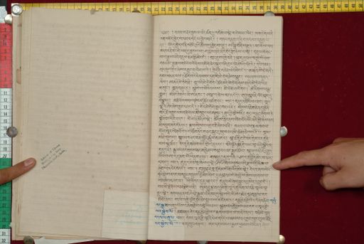 canvas: 1562r_LTWA_803