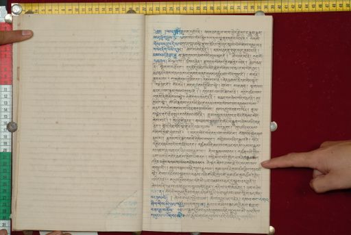 canvas: 1562j_LTWA_803