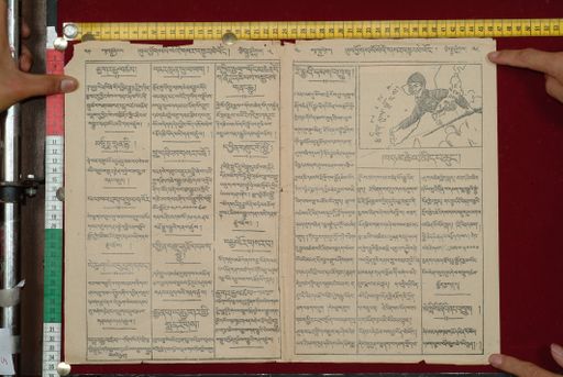 canvas: 1563c_LTWA_804