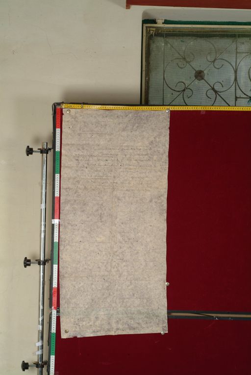 canvas: 1194b_LTWA_436