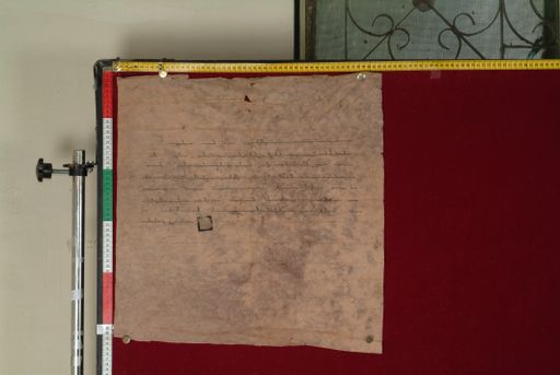 canvas: 1195b_LTWA_437