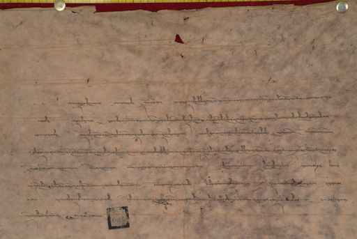 canvas: 1195c_LTWA_437