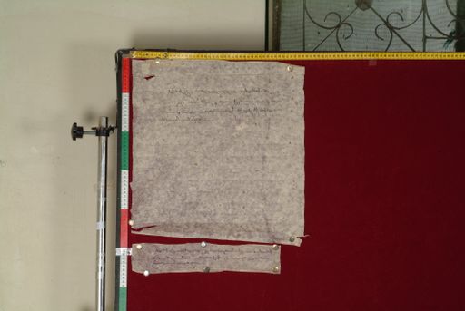 canvas: 1193b_LTWA_435