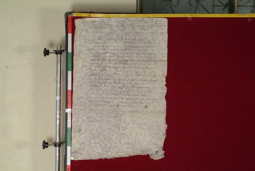 canvas: 1205b_LTWA_447