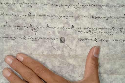 canvas: 1205f_LTWA_447