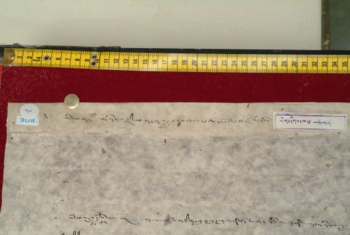 Library of Tibetan Works and Archives (LTWA) ID 4080 (1206_LTWA_448)