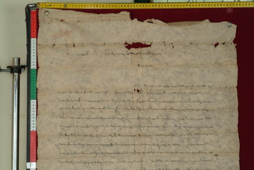 canvas: 0879d_LTWA_58