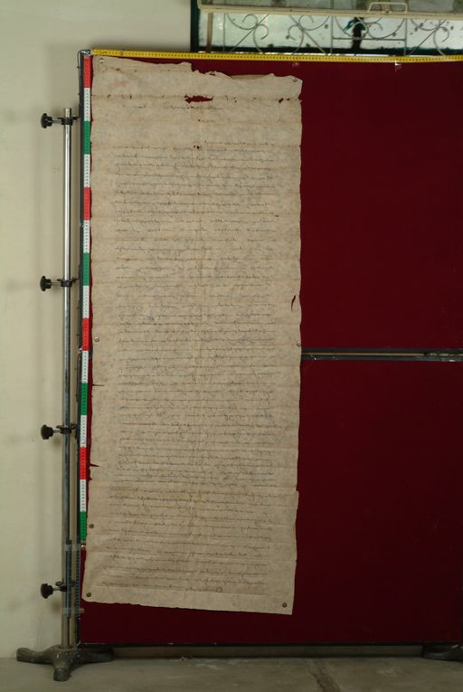 canvas: 0879c_LTWA_58