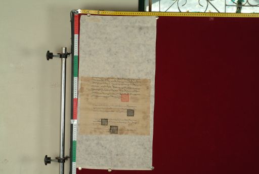 canvas: 0873b_LTWA_52