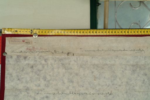 canvas: 0871d_LTWA_50