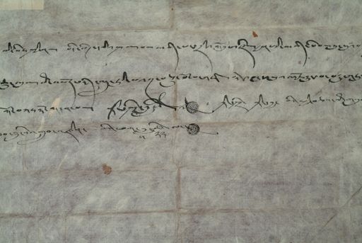 canvas: 1261c_LTWA_503