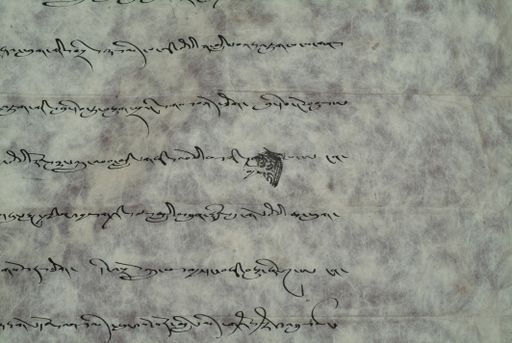 canvas: 1269d_LTWA_511