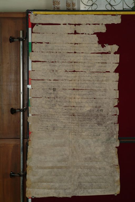 canvas: 1266b_LTWA_508