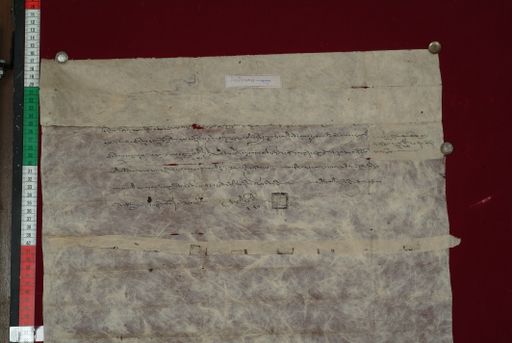 Library of Tibetan Works and Archives (LTWA) ID 4101 (1267_LTWA_509)