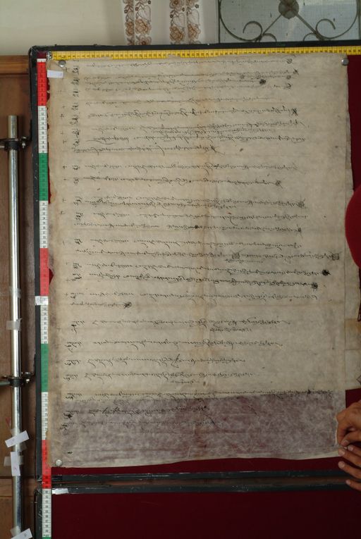 canvas: 1472c_LTWA_714