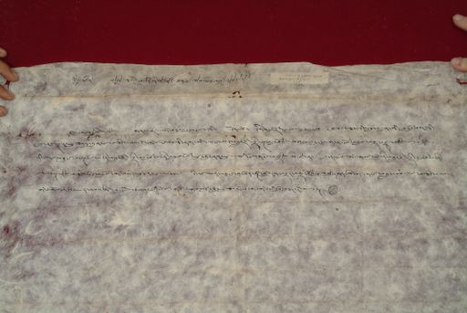 canvas: 1471c_LTWA_713