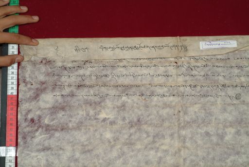 Library of Tibetan Works and Archives (LTWA) ID 4105 (1471_LTWA_713)