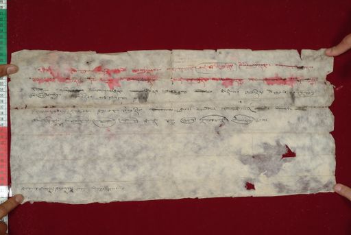 canvas: 1473c_LTWA_715