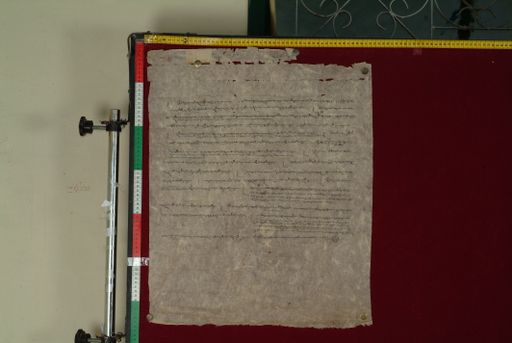 canvas: 1174c_LTWA_416