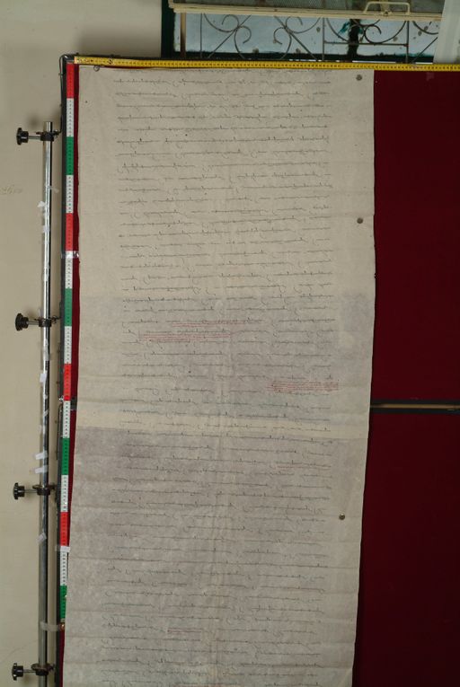 canvas: 1177c_LTWA_419