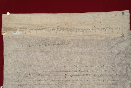 Library of Tibetan Works and Archives (LTWA) ID 4116 (1180_LTWA_422)