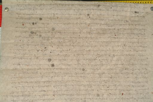 canvas: 1180h_LTWA_422