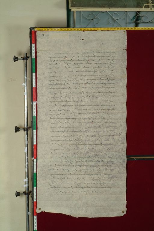 canvas: 1173b_LTWA_415