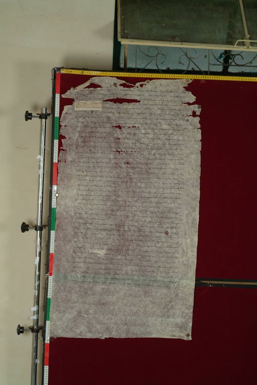 canvas: 1176b_LTWA_418