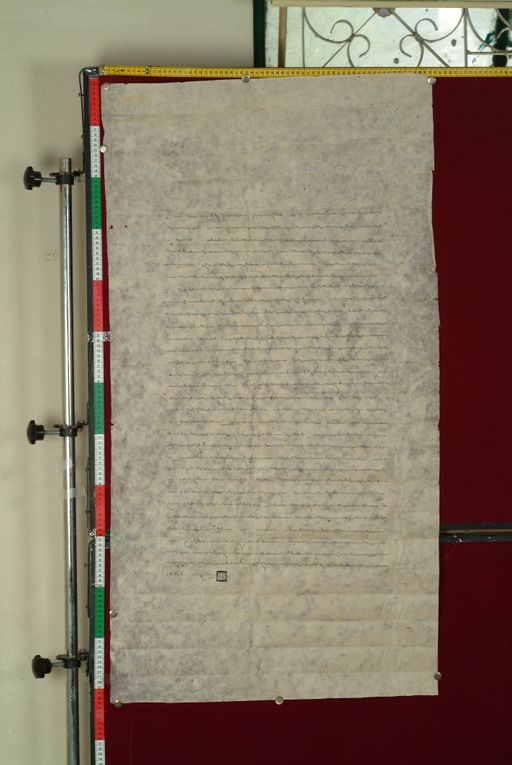 canvas: 0889b_LTWA_66