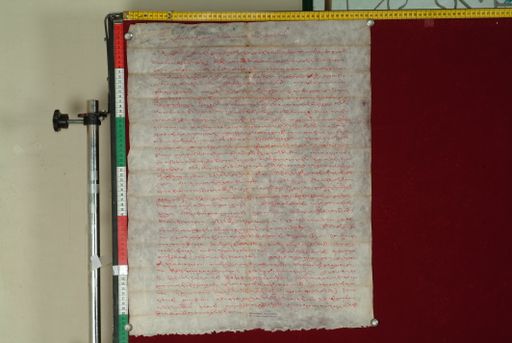 canvas: 0984b_LTWA_196