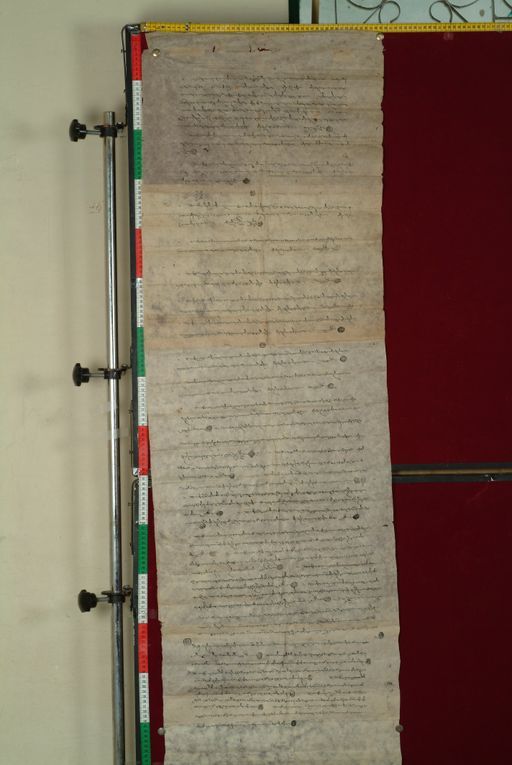 canvas: 0896b_LTWA_71