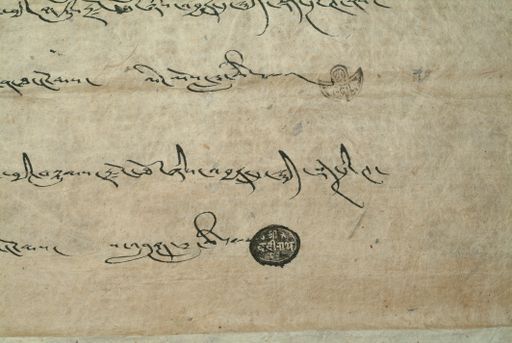 canvas: 0896m_LTWA_71