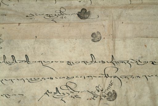 canvas: 0896j_LTWA_71