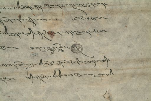 canvas: 0896h_LTWA_71