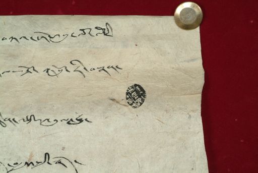 canvas: 0896x_LTWA_71