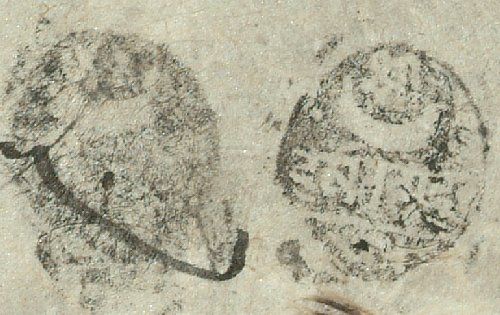 canvas: 0896s_LTWA_71_Seal