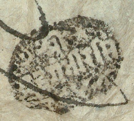 canvas: 0896t_LTWA_71_Seal