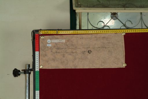 Library of Tibetan Works and Archives (LTWA) ID 4160 (1146_LTWA_357)