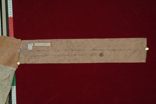 canvas: 1145b_LTWA_356