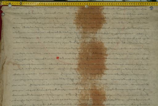 canvas: 1169y_LTWA_411