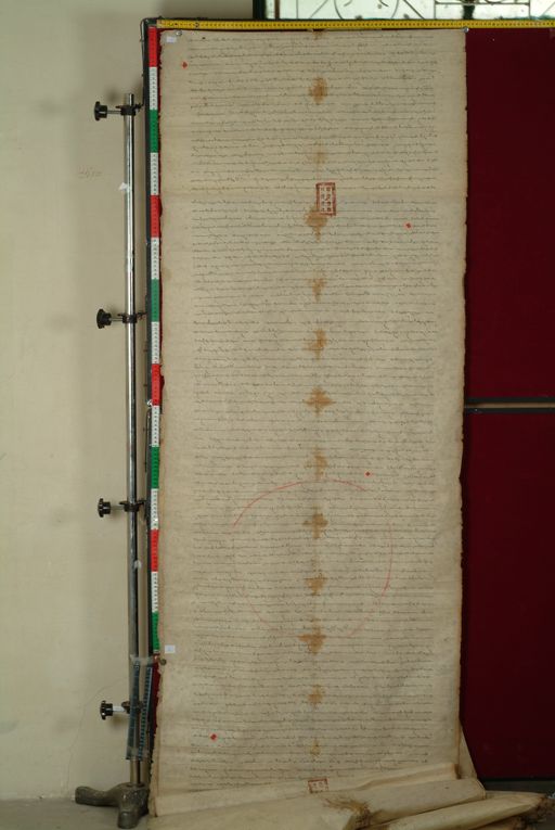 canvas: 1169h_LTWA_411