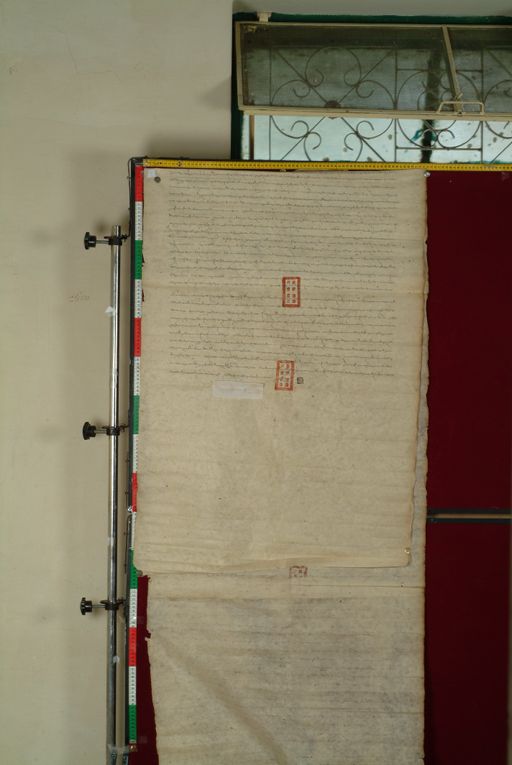 canvas: 1169k_LTWA_411