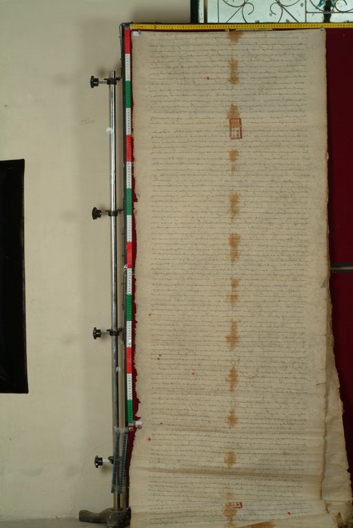 canvas: 1169g_LTWA_411