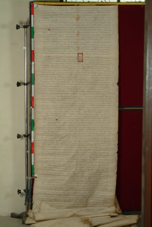 canvas: 1169i_LTWA_411