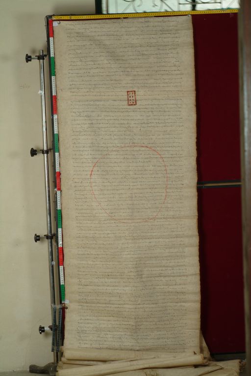 canvas: 1169j_LTWA_411