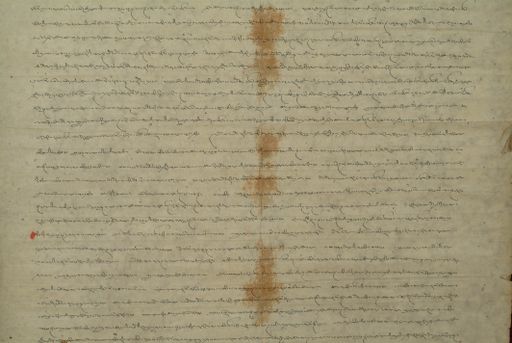 canvas: 1169ao_LTWA_411