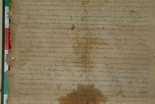 canvas: 1169p_LTWA_411