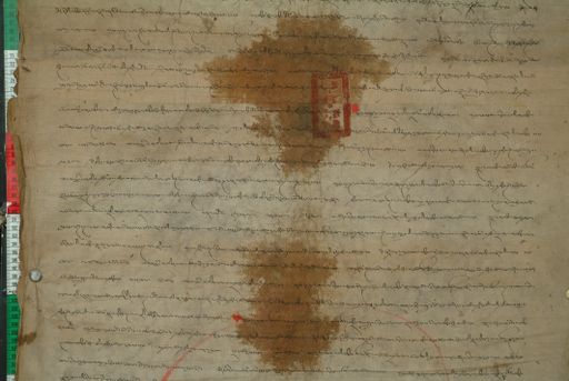 canvas: 1169q_LTWA_411