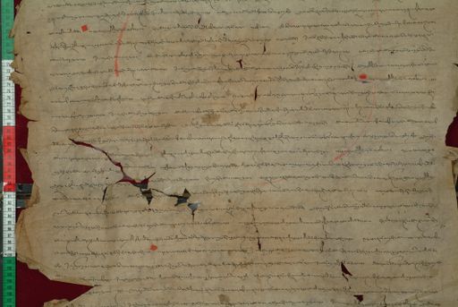 canvas: 1169n_LTWA_411