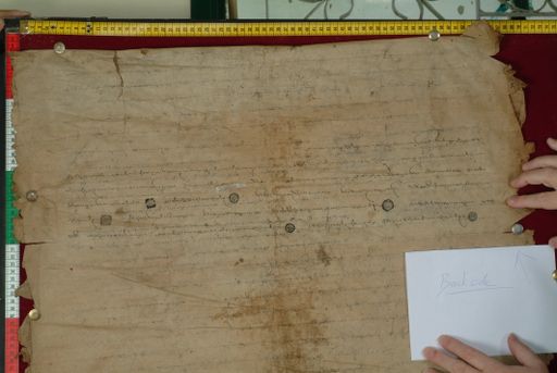 canvas: 1169bm_LTWA_411